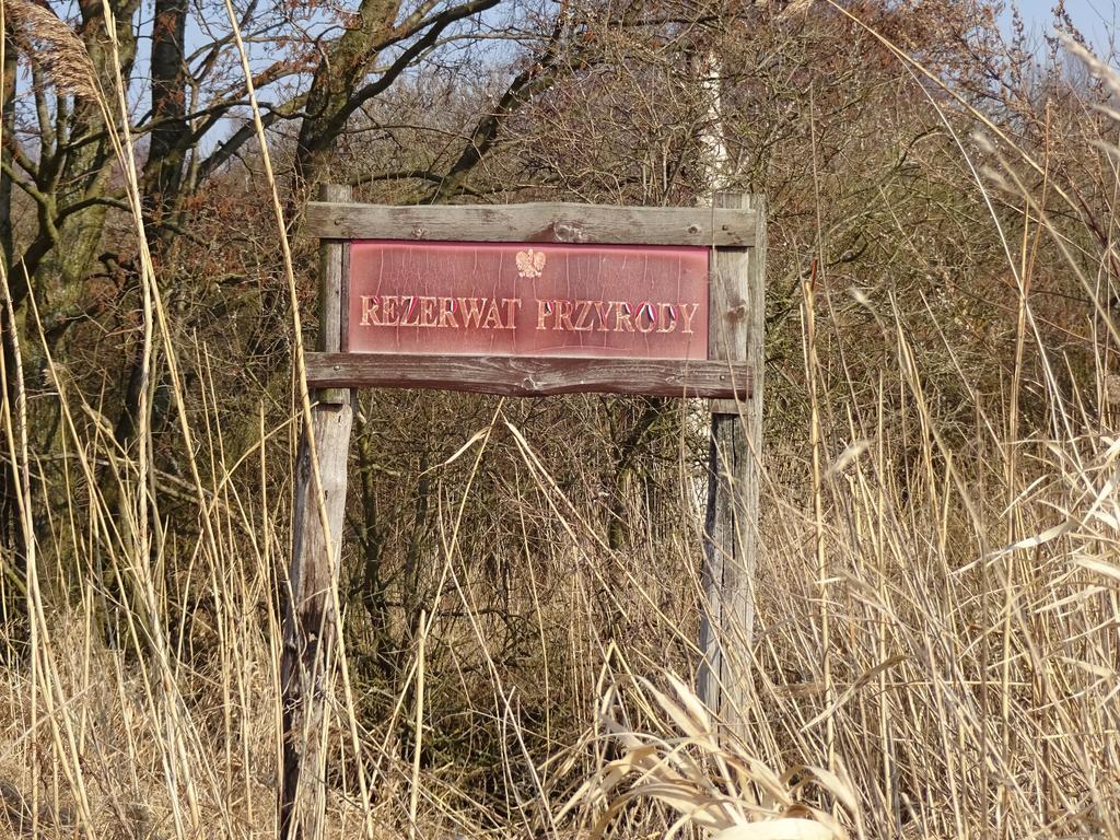 Appartamento Sloneczny Wodnik Braniewo Esterno foto