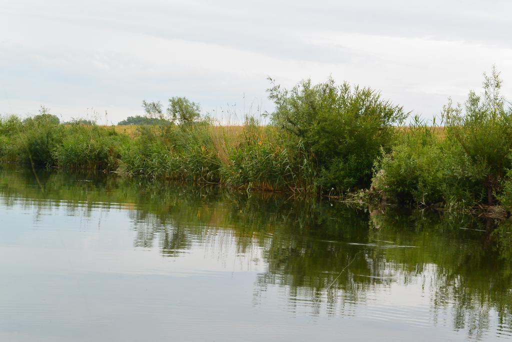 Appartamento Sloneczny Wodnik Braniewo Esterno foto