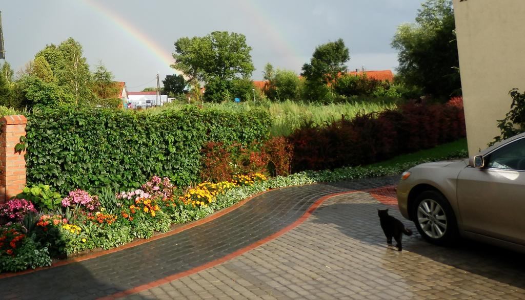 Appartamento Sloneczny Wodnik Braniewo Esterno foto