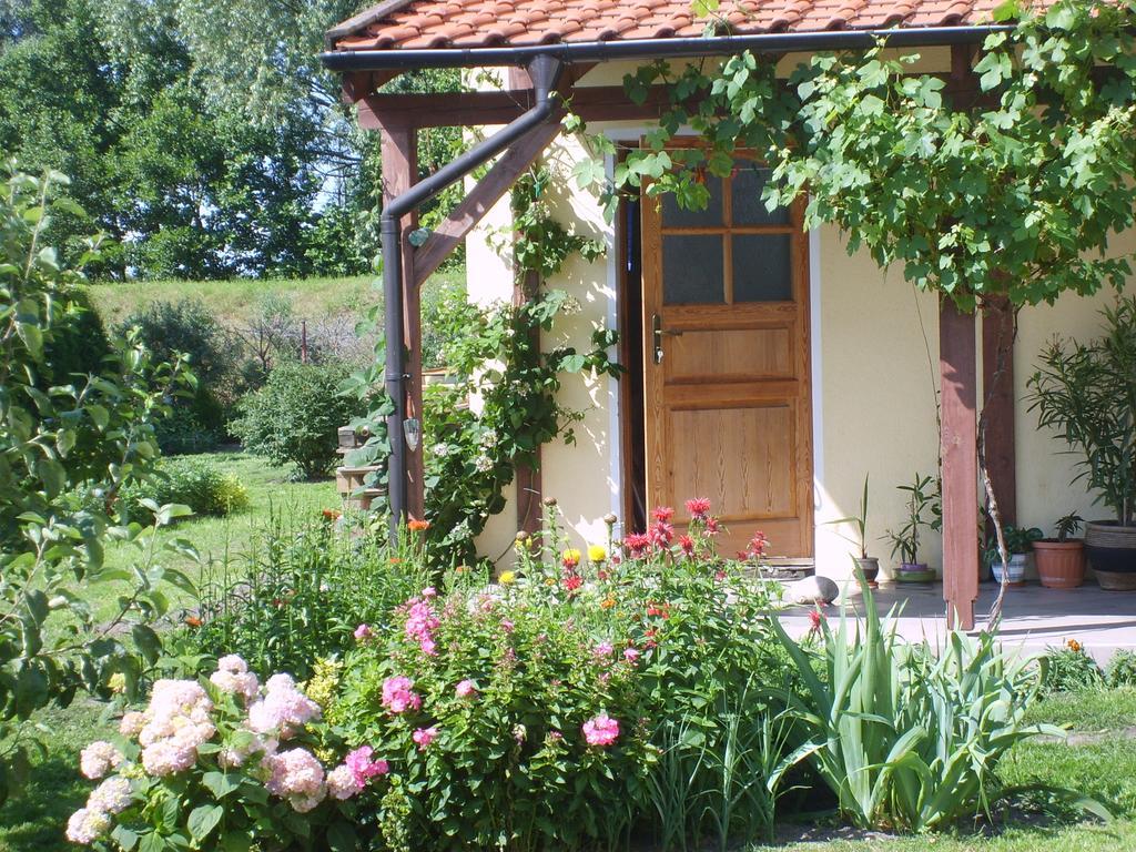 Appartamento Sloneczny Wodnik Braniewo Esterno foto