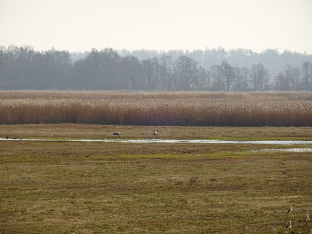 Appartamento Sloneczny Wodnik Braniewo Esterno foto